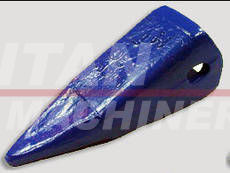 D80119 – TOOTH (1)