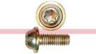 84305556 – SCREW, Round HD, M6 x 1 x 25mm, Cl 10.9 (1)