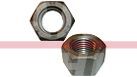 87861 – NUT (1)