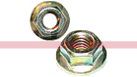 BN300428 – NUT (1)