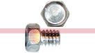 290386A1 – SCREW (1)