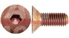 1589127 – SCREW, Flat Csk Hd, M6 x 35mm, Cl 8.8 (1)