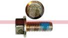 V106543 – SCREW (1)