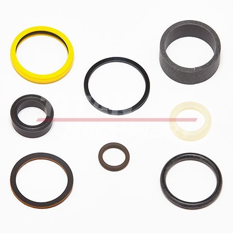 D148100 – GASKET KIT (1)