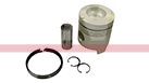 81877564 – PISTON & RINGS KIT (1)