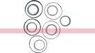 1542915C2 – SEAL KIT (1)