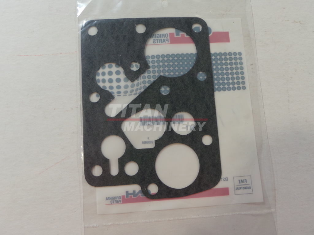 351989R7 – GASKET (1)