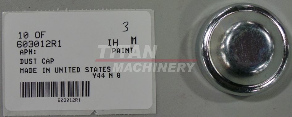 603012R1 – DUST CAP (1)