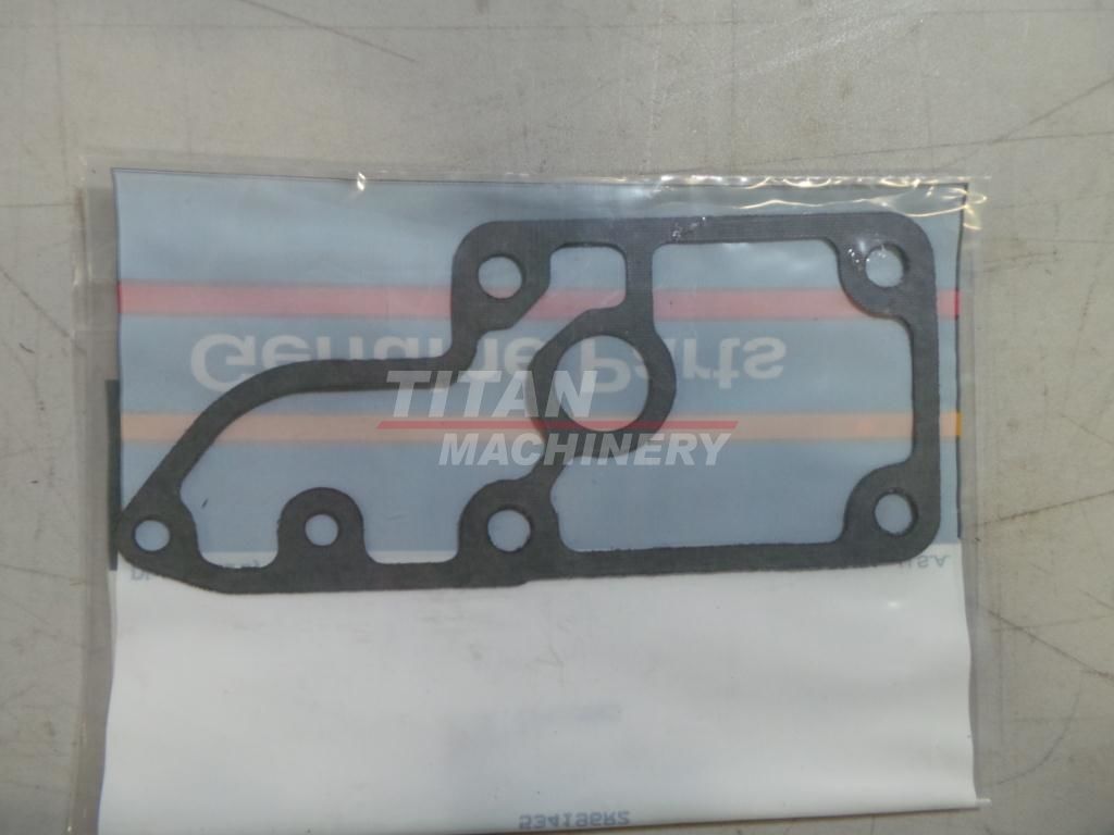 534196R2 – GASKET (1)
