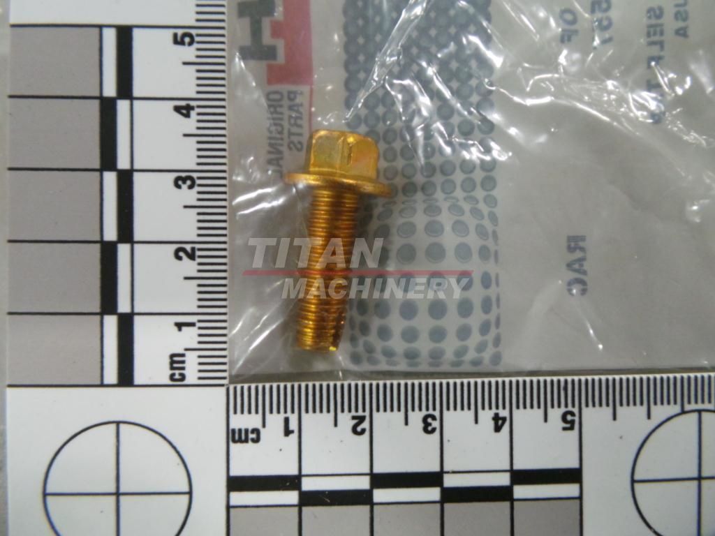 87016557 – SELF-TAP SCREW, Hex, M8 x 1.25 x 25mm (1)