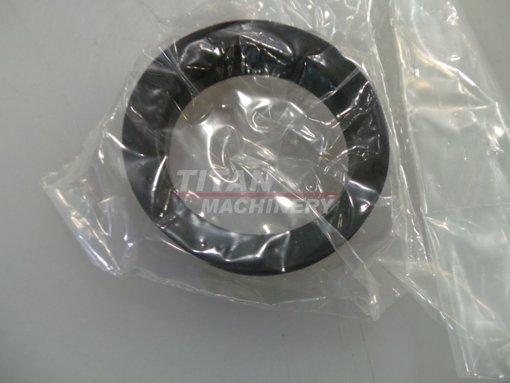 BN313772 – Ущільнення, SPX (2)
