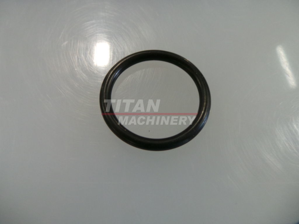 SBA052300250 – O-RING (1)