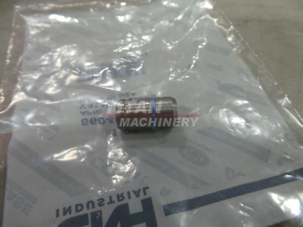 8604578 – CHECK VALVE (1)