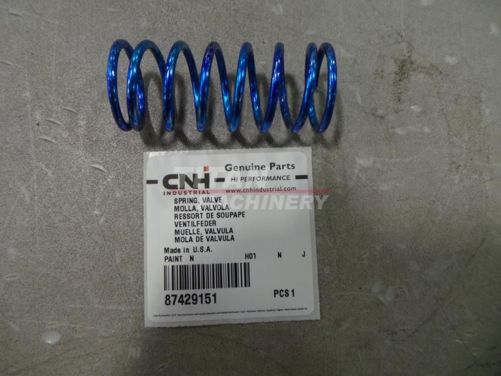 87429151 – VALVE SPRING (1)