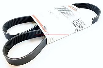 J911563 – Пас (2858019), Maxxum125 (1)