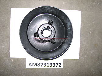 AM87313372 – Шків, 8010, 8120 USP (1)