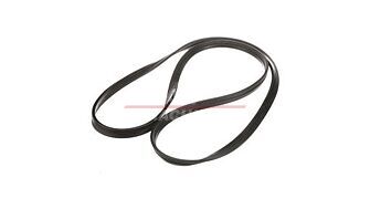 84391276 – Ущільнення дверей, CE CASE SV250 (1)