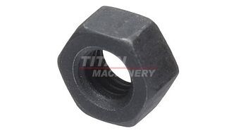 86625072 – Гайка М6, Maxxum125 (1)