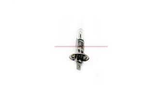 47691331 – Лампа, H1, 12V, 55W (long life), 9230 (1)