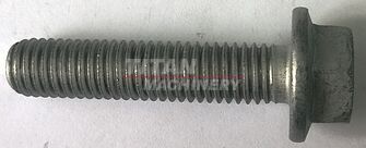 16587525 – Болт M10 х 1.5 x 45 (4895608), Mag340, Steig500, FP (1)